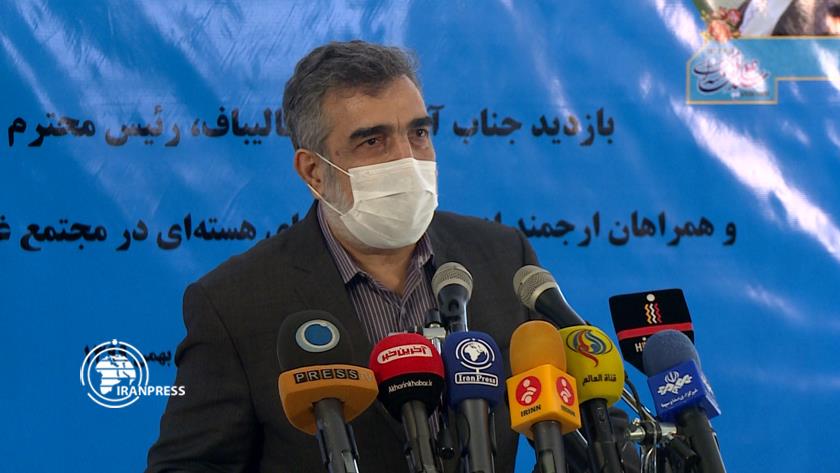 Iranpress: Uranium enrichment completely indigenous: AEOI spox