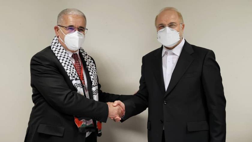 Iranpress: Iran, Algeria urge cementing parliamentary ties