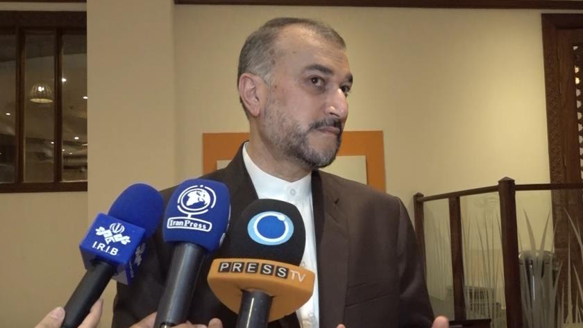 Iranpress: Iran serious about remaining safeguard-related issues in Vienna talks: FM